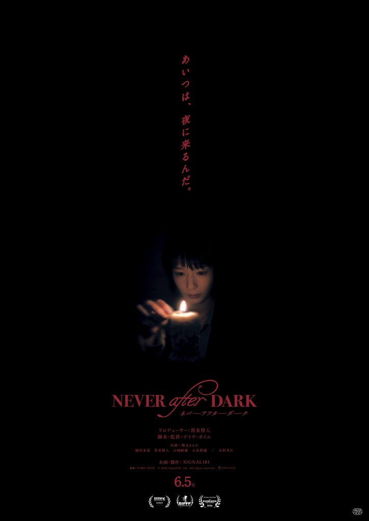 Never After Dark 2026 movie poster