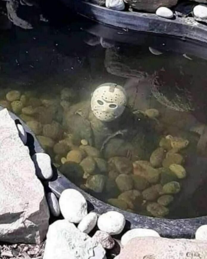 Jason in the pond Friday the 13th meme